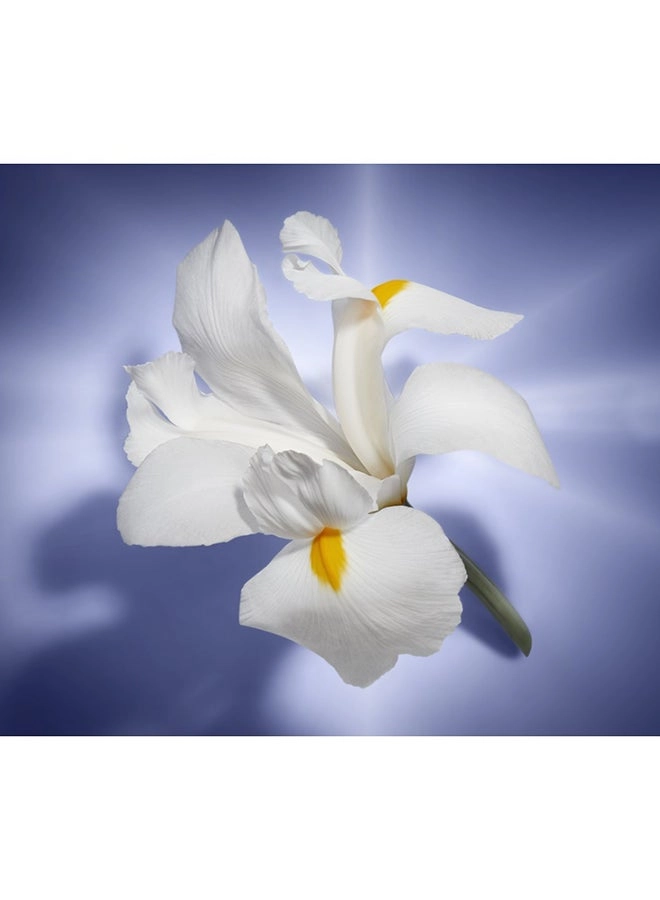 La Vie Est Belle Eau de Parfum 75ml