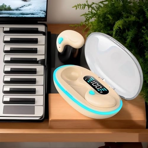 OMWF2SM1661EPG288N Wireless Earbud