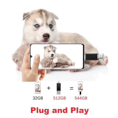 Type C Flash Drive - USB 3.0 512GB