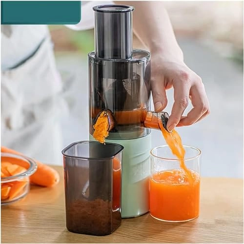 Portable Electric Juicer - Masticating Slow Auger Water-Free