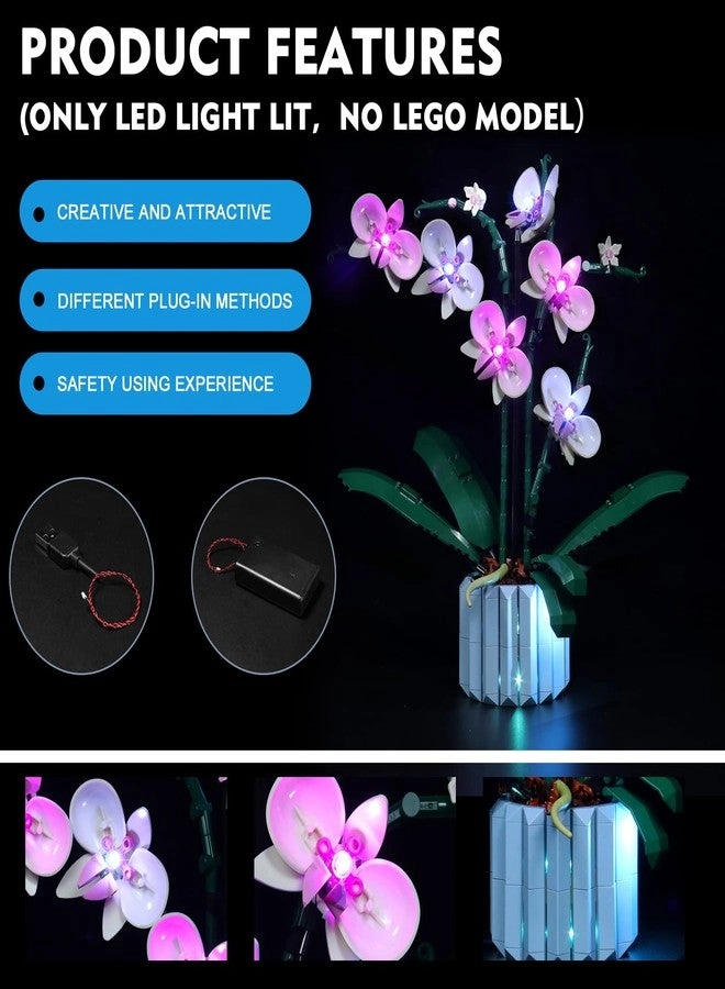 LED Light Kit - Compatible with 10311