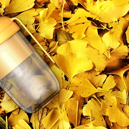 Portable Electric Mixer Juicer - 0.3L