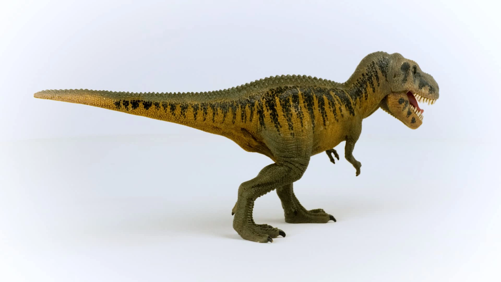 Tarbosaurus - 4+ Dinosaurs 1