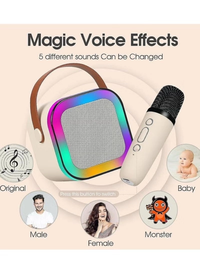 K12 - Dual Microphones