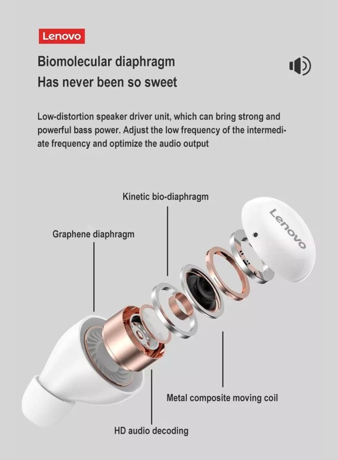 LP11 Wireless Headphone