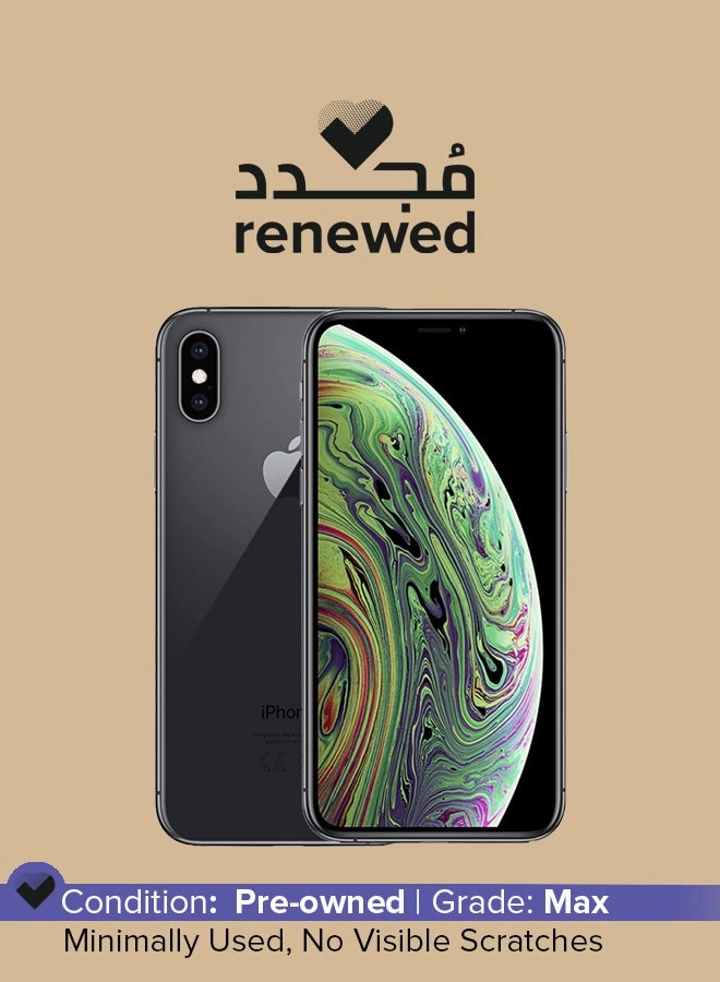 (Renewed) iPhone XS - 256GB