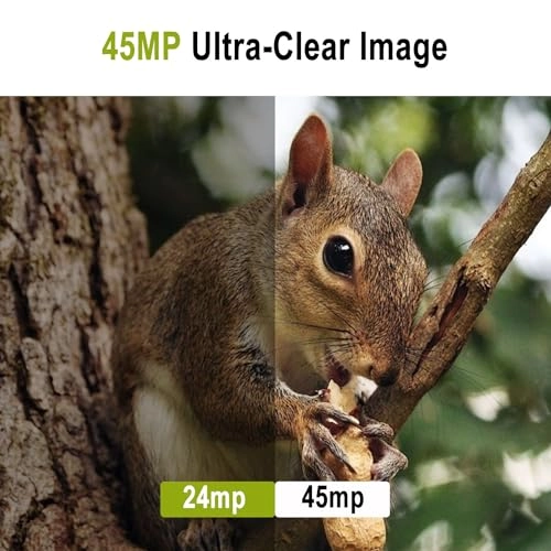 LY590-D4K - 45 megapixel