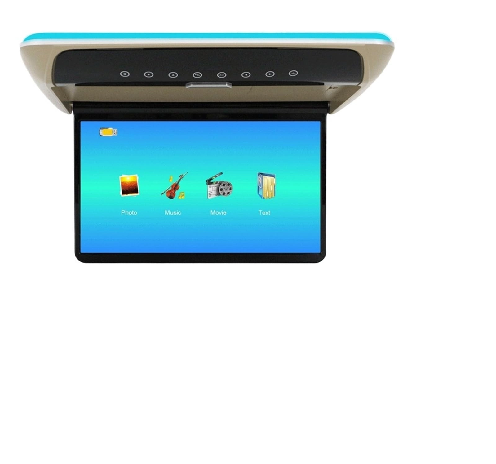 Roofmount LCD Monitor - 19in