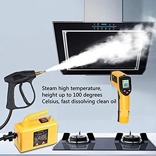 Portable Steam Cleaner - 220v 2600w High Temperature