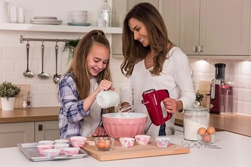 Desire Hand Mixer - 0.5 Liters 350 watts