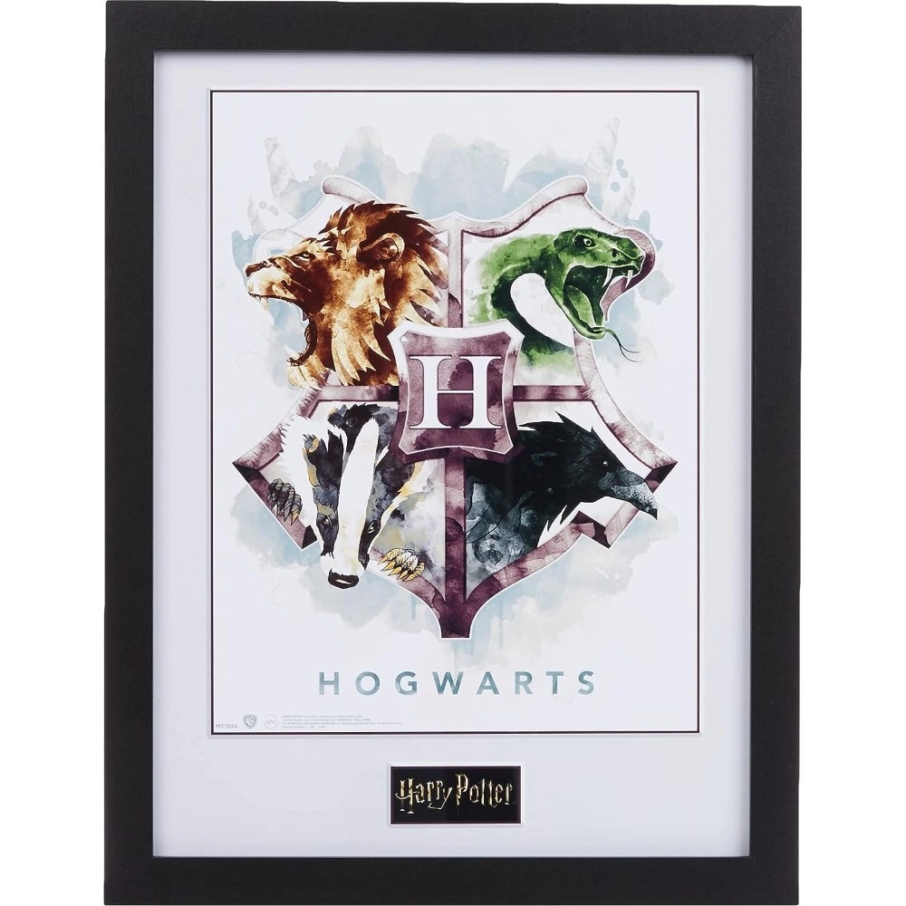 GB eye Harry Potter Framed Collector's Print - Shatter proof styrene 40 x 30 cm