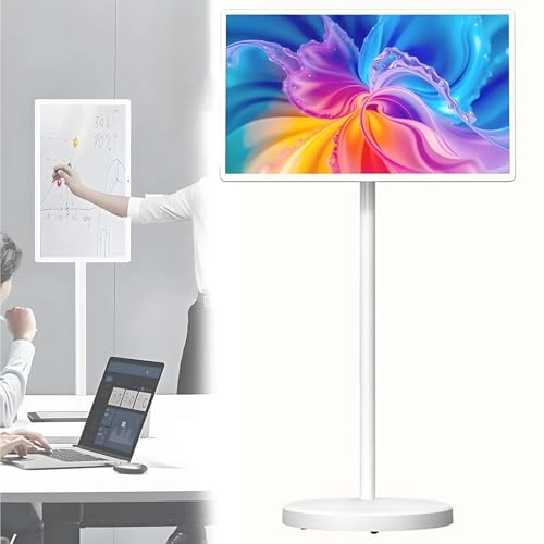 Portable Touch TV - FHD 21.5 inch