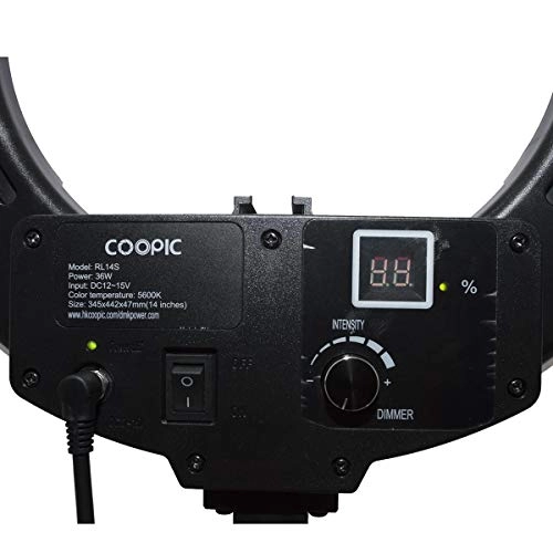 RL-14S - 14 inches 5600K