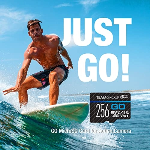 GO Card - 256GB