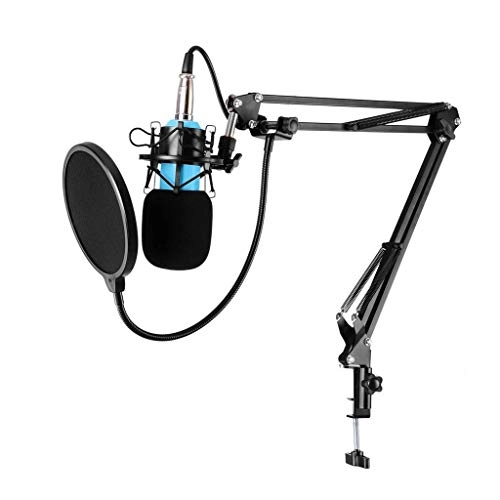 Studio Recording Cardiod Condenser XLR Microphone