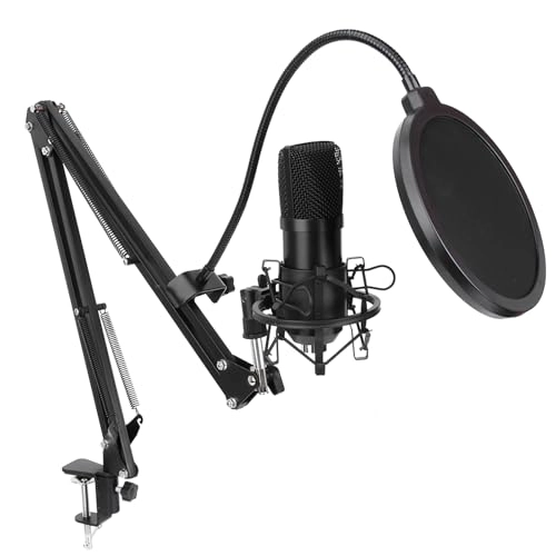 V9 + BM-800 USB Microphone