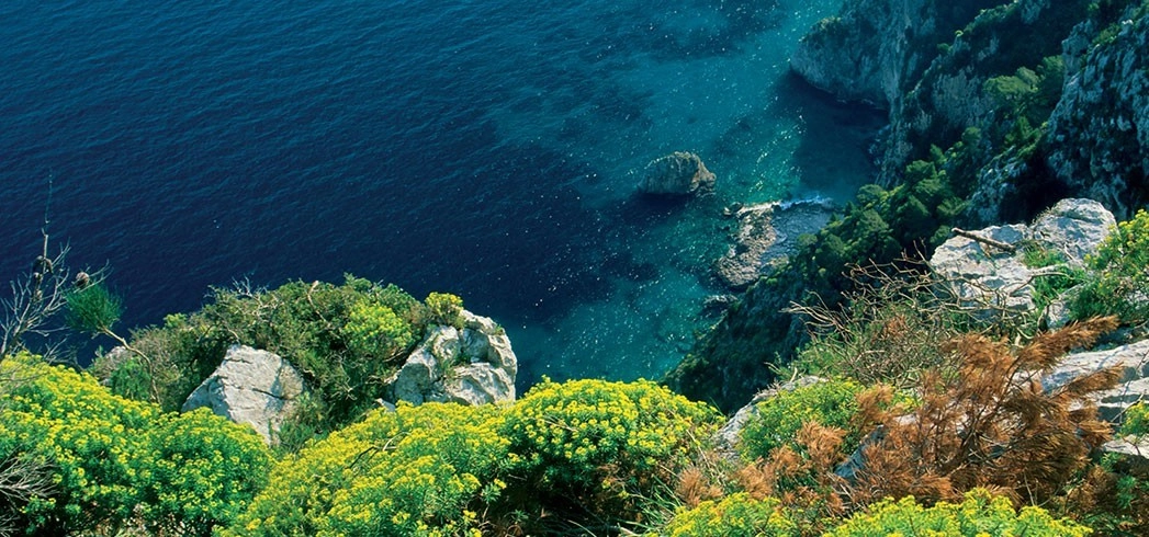 Blue Mediterraneo Bergamotto di Calabria Eau de Toilette 75ml