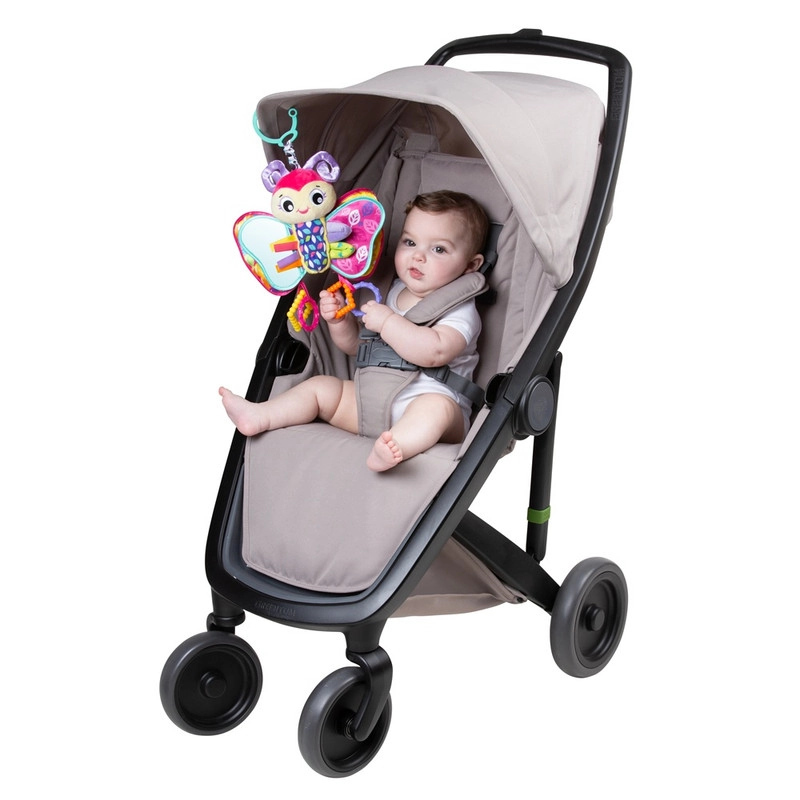 Activity Friend - 0 month