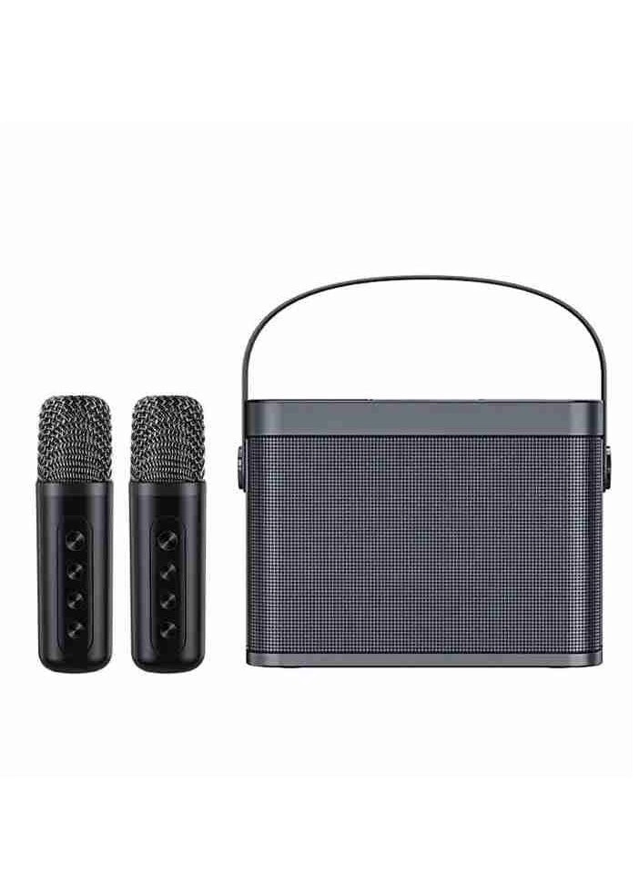 YS-219 - 2 Wireless Microphones 60W