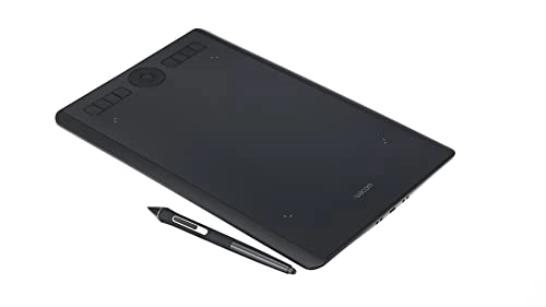 Intuos Pro - 224 x 148 mm 8192