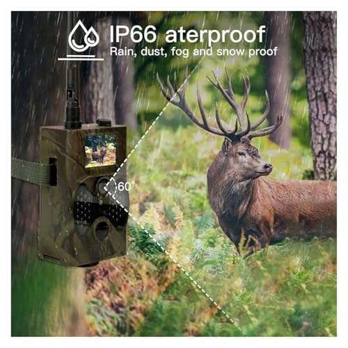 Hunting Camera - 12MP