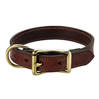 Dog & Cat Collars