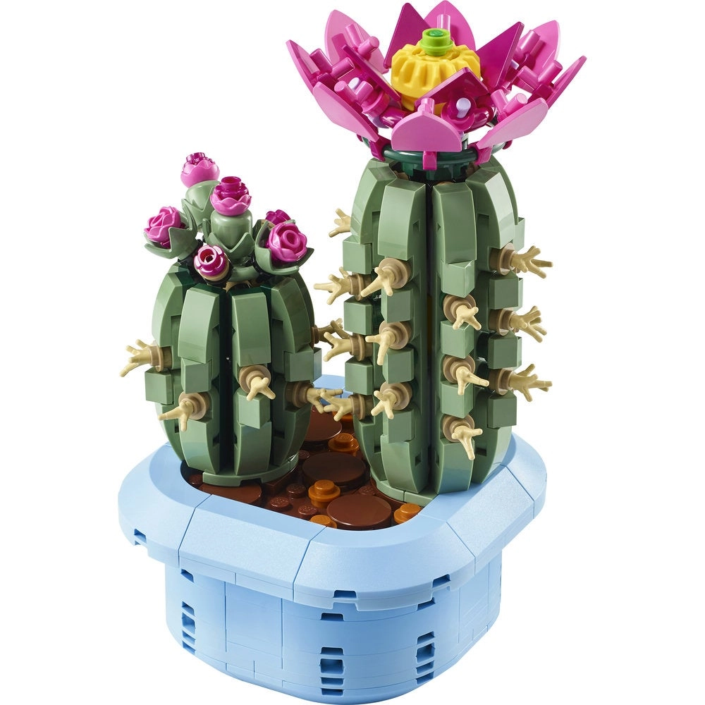 Flowering Cactus (11509)