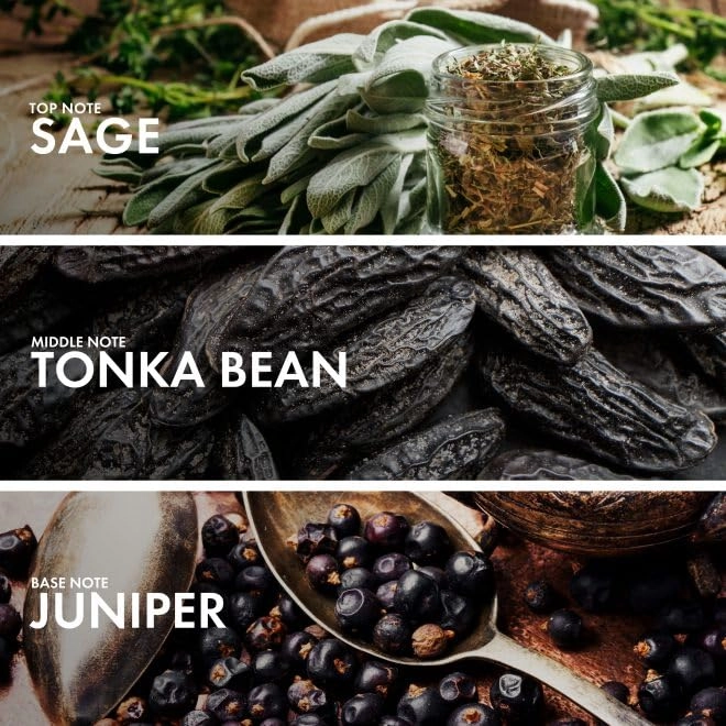 Oud Leather - Eau de Parfum 50ml