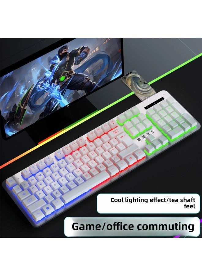 Mechanical Feel - Wired + E-sports Mouse