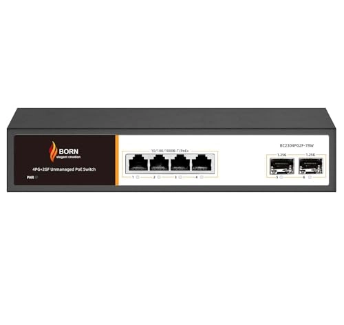 BC2304PG2F-78W 4-ports