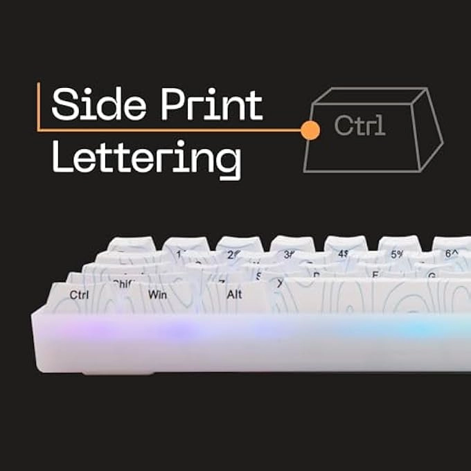 SKYSTONE BASECAMP - Wired