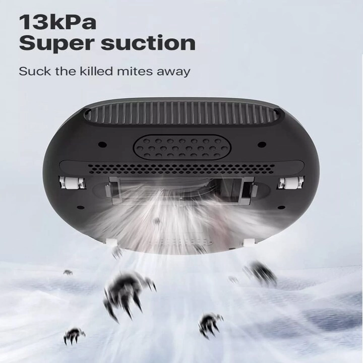 EX919