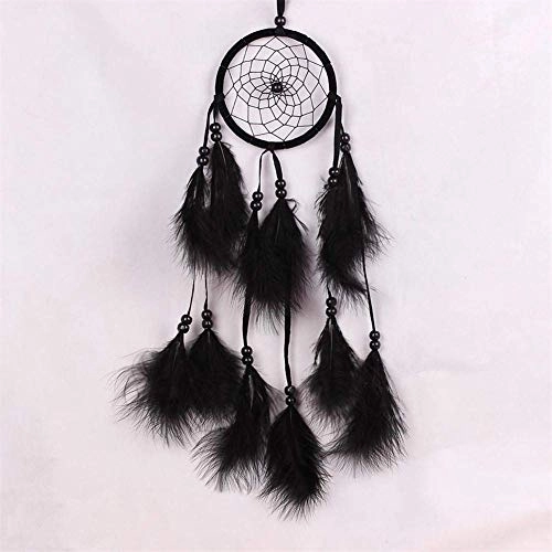 Dreamcatcher - Siderosphere, feathers, lines, wood beads.