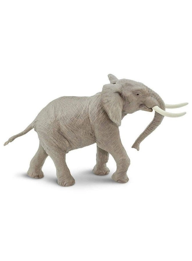 Wildlife - African Elephant