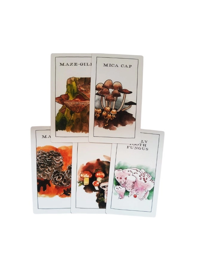 Mushroom Observer Oracle