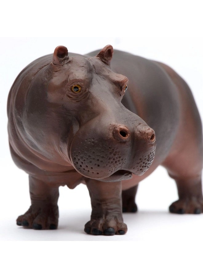 Hippopotamus Figurine - Realistic 5.5"
