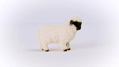 Valais Black-Nosed Sheep - 3 yr(s)