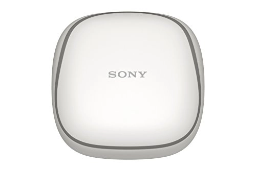 WF-SP700N Wireless Earbud