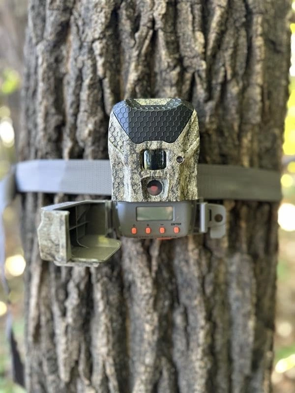 Ridgeline Wraith - 26 MP