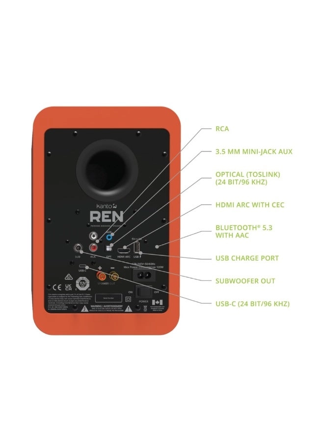 REN - 100 W