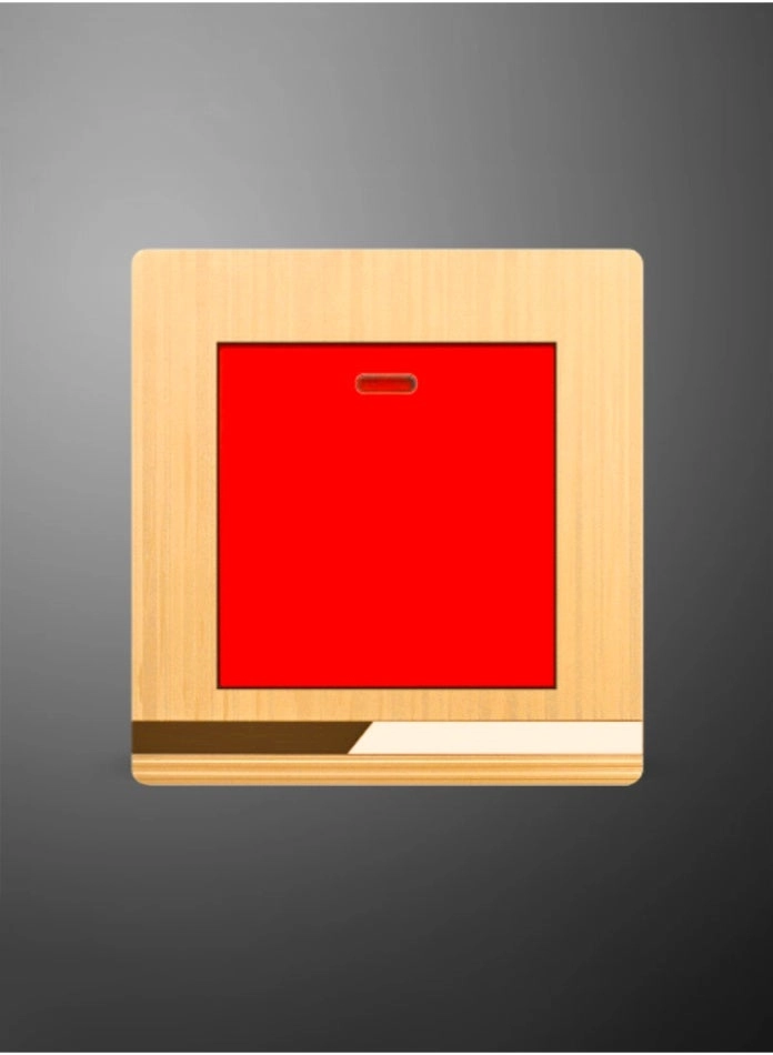 45A High Power Switch - Neon Indicator Fire-Resistant PC