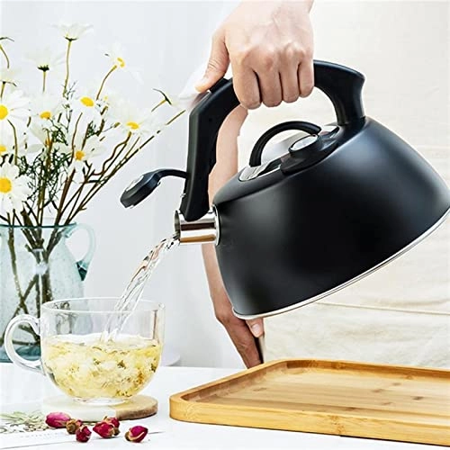 Kettle - food-grade stainless steel