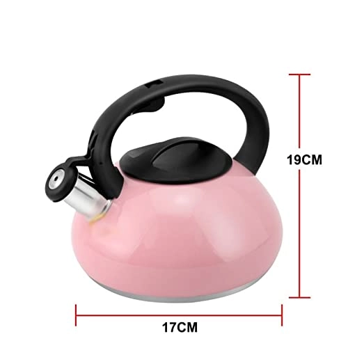 Kettle - Stainless Steel Auburn