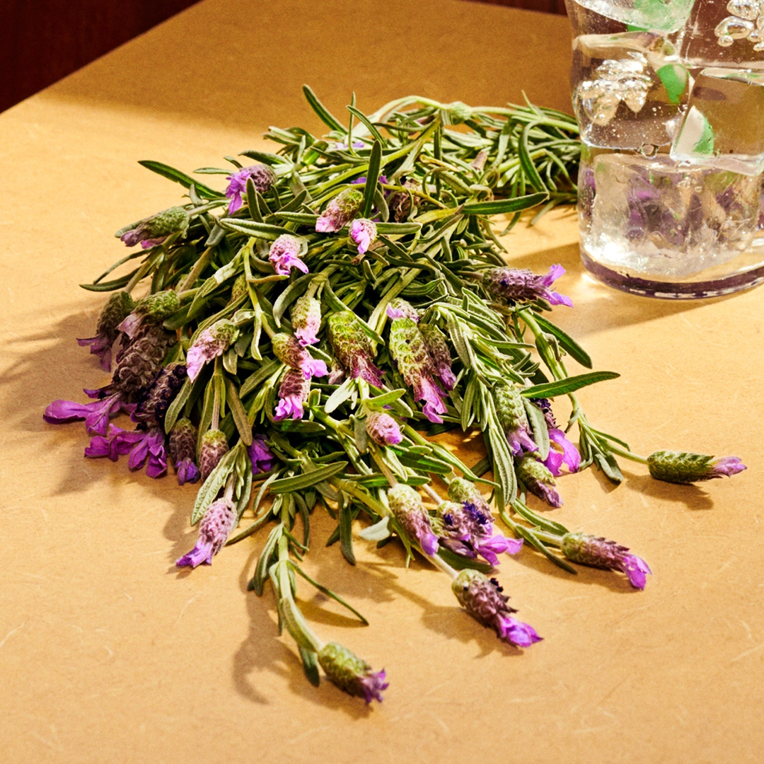 Guilty Pour Homme Eau de Parfum 90ml