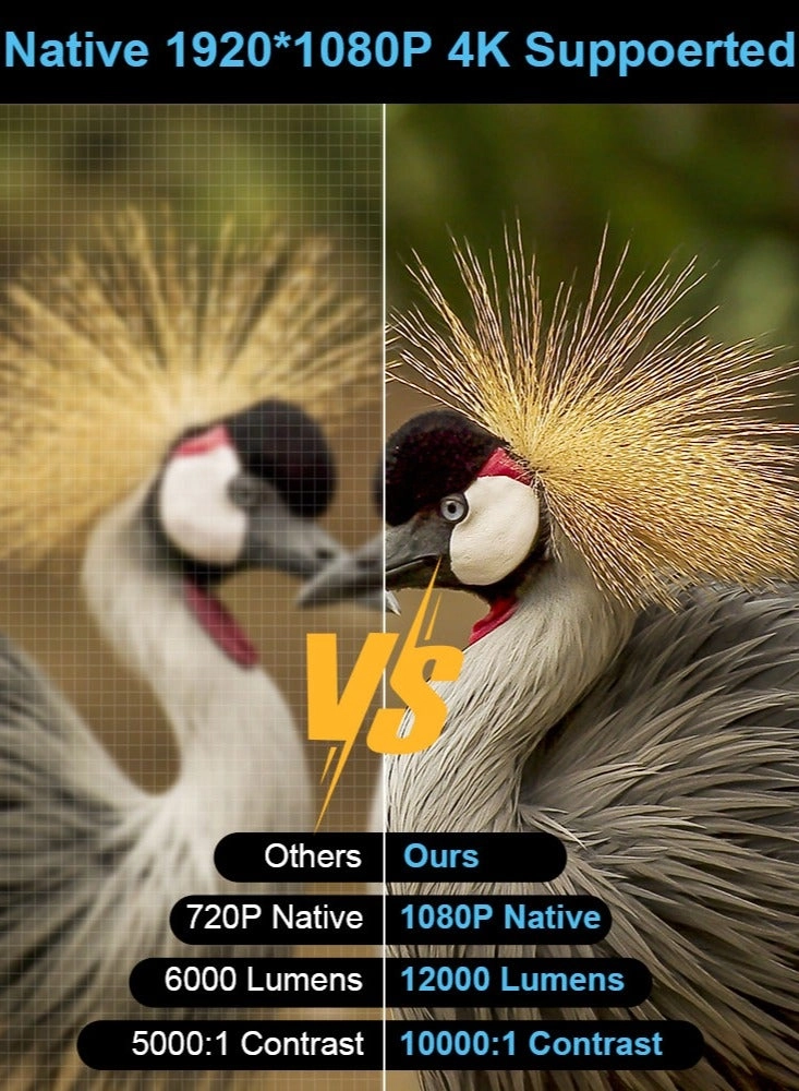 TD80 11000 Lumens 1920x1080