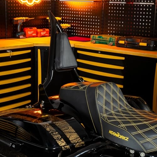 Havoc Sissy Bar