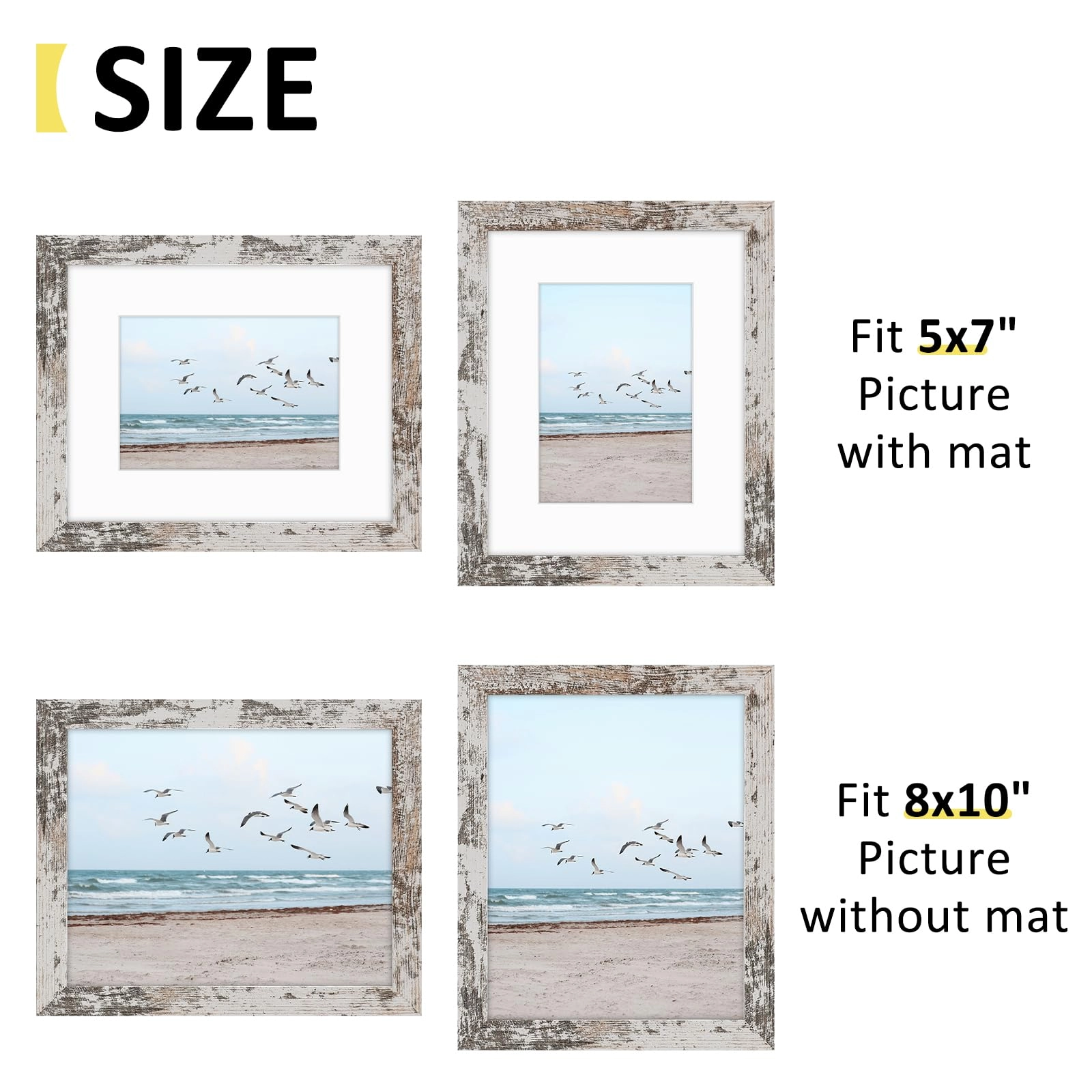 Single Picture Frame - 8x10 1