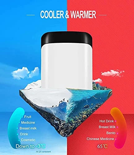 mini refrigerator - 10L