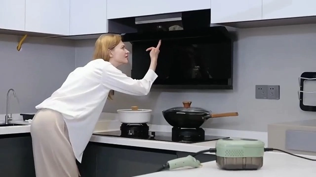 Portable Steam Cleaner - 3.0 bar 1100 Milliliters