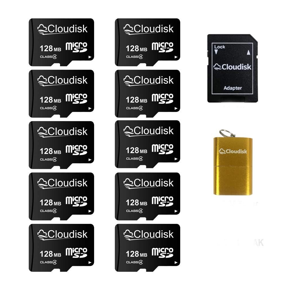 Cloudisk Micro SD Card - 0.128GB